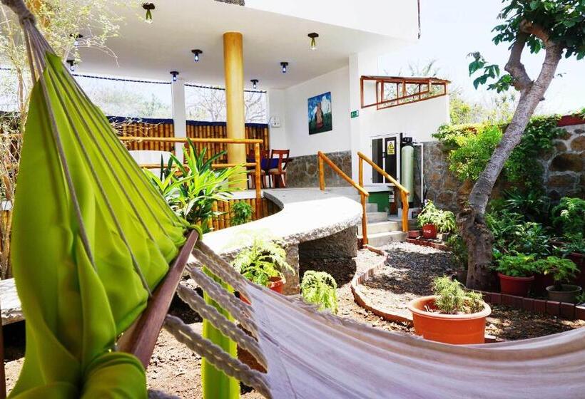 פנסיון Isla Azul