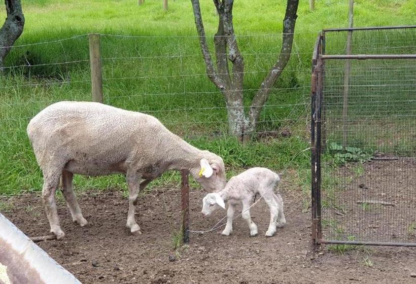 ペンション Lentelus Guesthouse