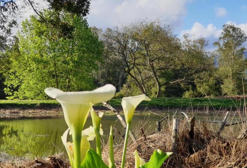 ペンション Lentelus Guesthouse