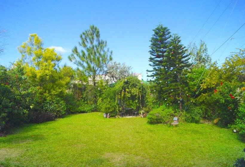 פנסיון Madie S Place