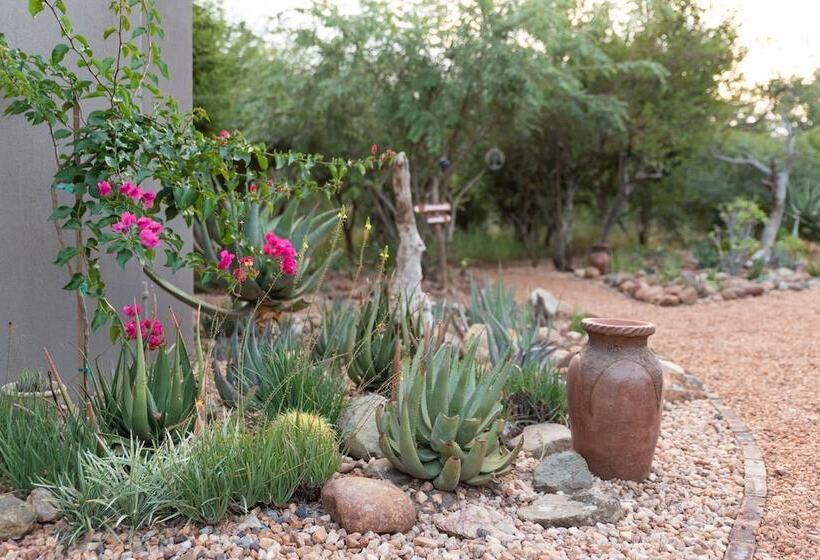 بنسيون Nyaleti Lodge