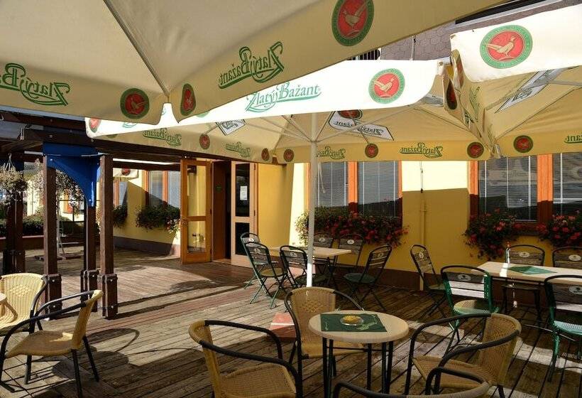 膳宿费 Penzion Agrothermal