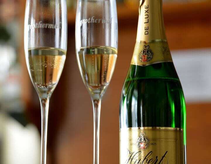 膳宿费 Penzion Agrothermal