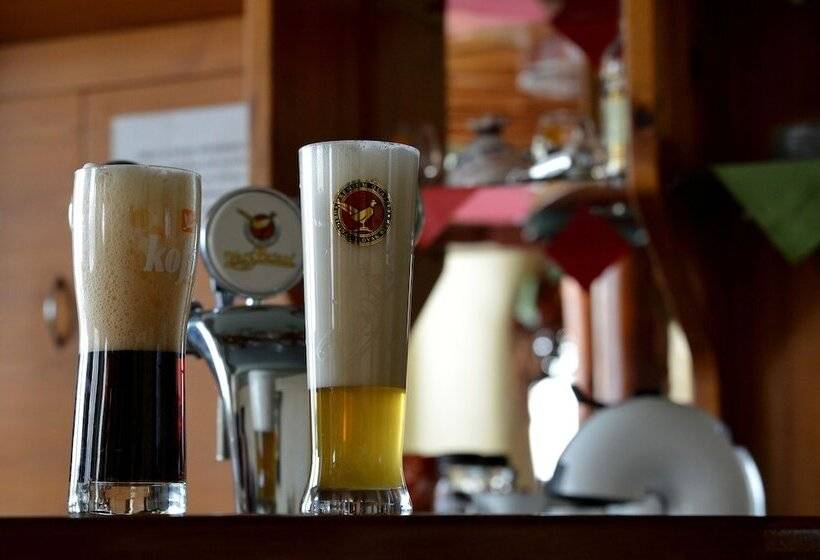 膳宿费 Penzion Agrothermal