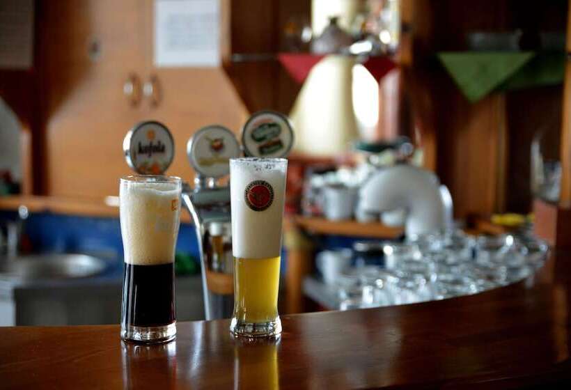 膳宿费 Penzion Agrothermal