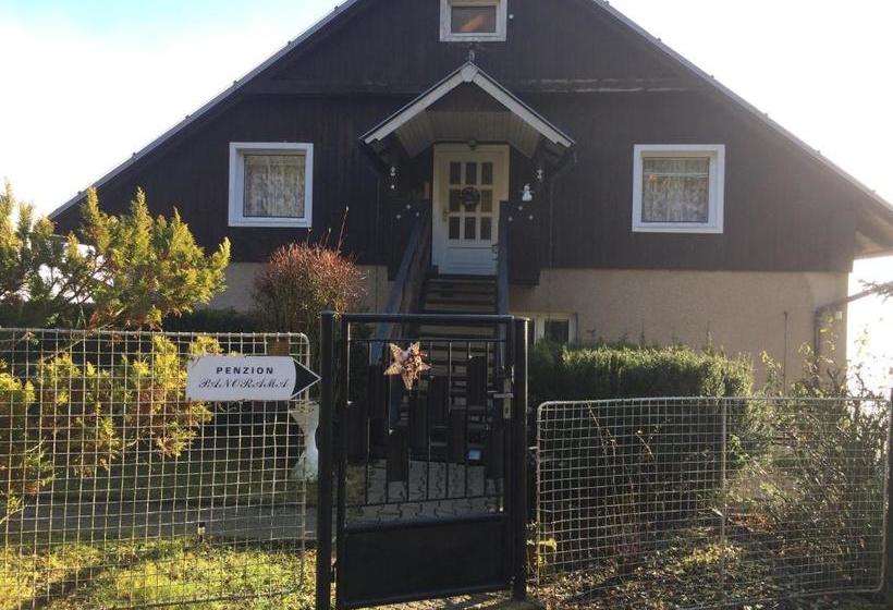 پانسیون Penzion Panorama