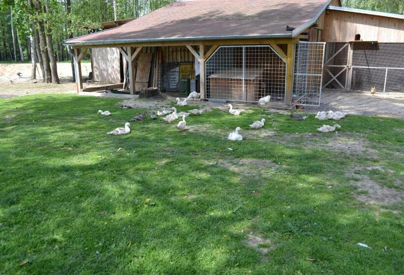 פנסיון Pivovar Kocour