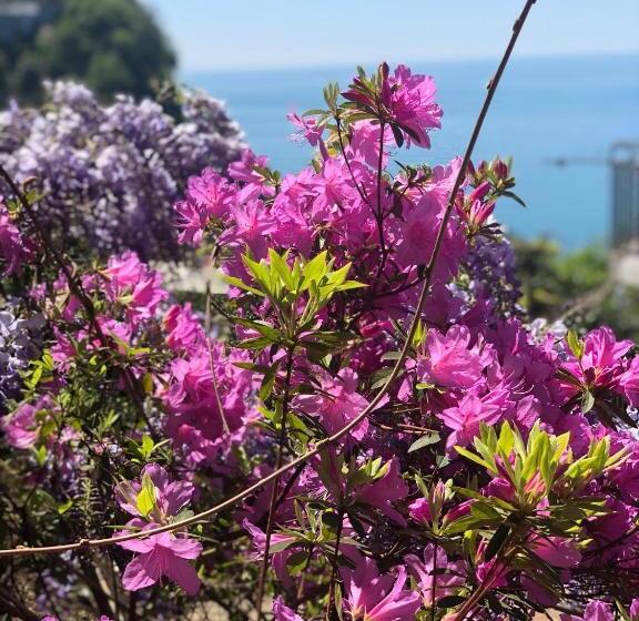 پانسیون Sanni Guest House