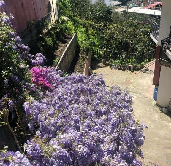 پانسیون Sanni Guest House