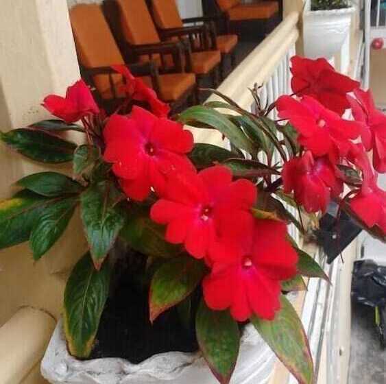 ペンション Santa Juana