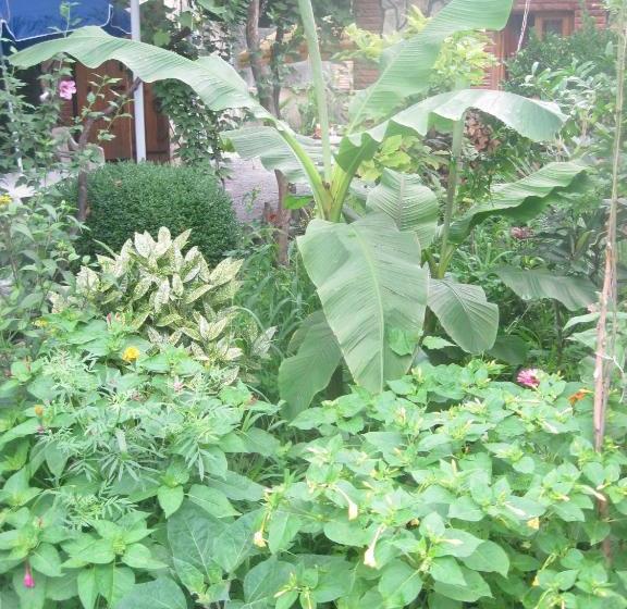 پانسیون Tamar Guest House