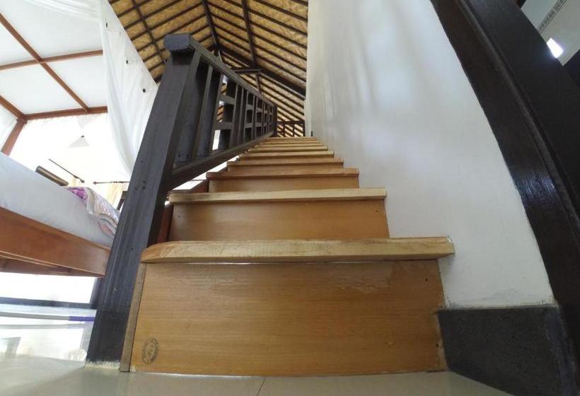 פנסיון The Bbq Guest House