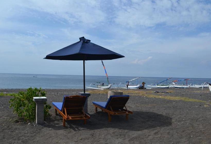 פנסיון The Bbq Guest House