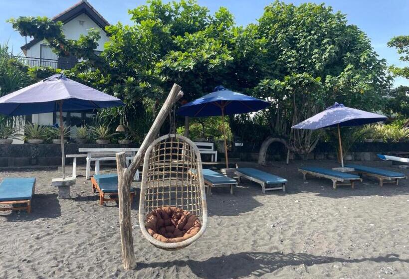 פנסיון The Bbq Guest House