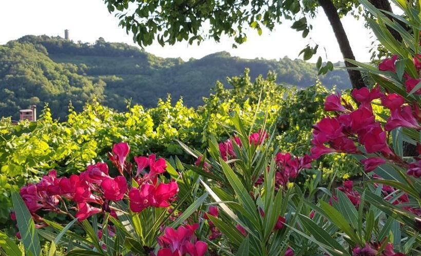 پانسیون Valentina Guest House At Pintar Wine Estate