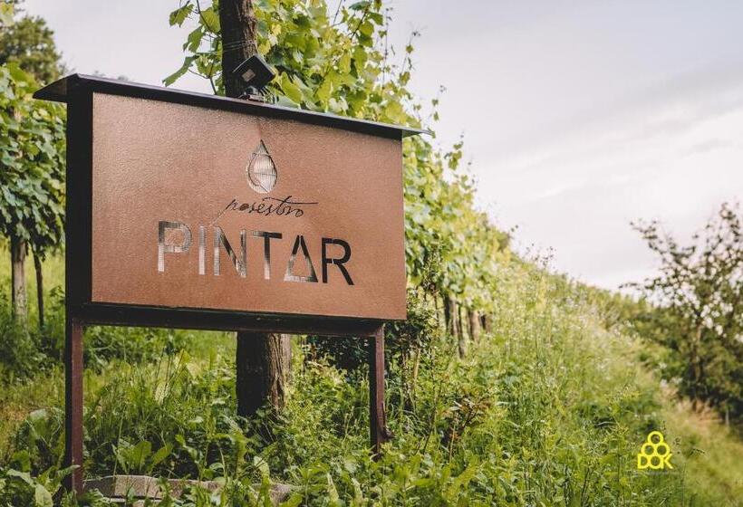 پانسیون Valentina Guest House At Pintar Wine Estate