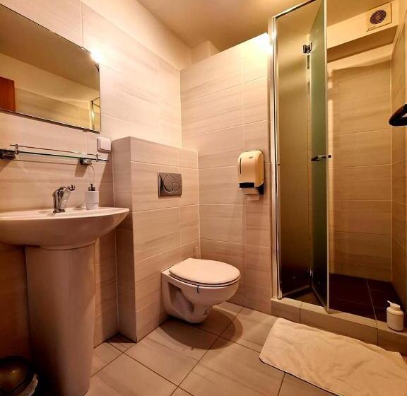 Пансион Vila Fenix B&b