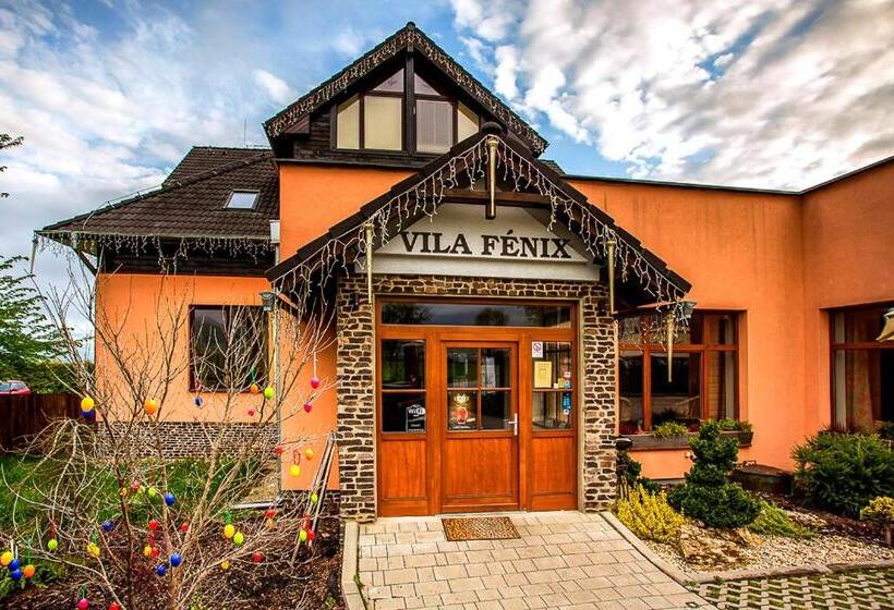 Пансион Vila Fenix B&b