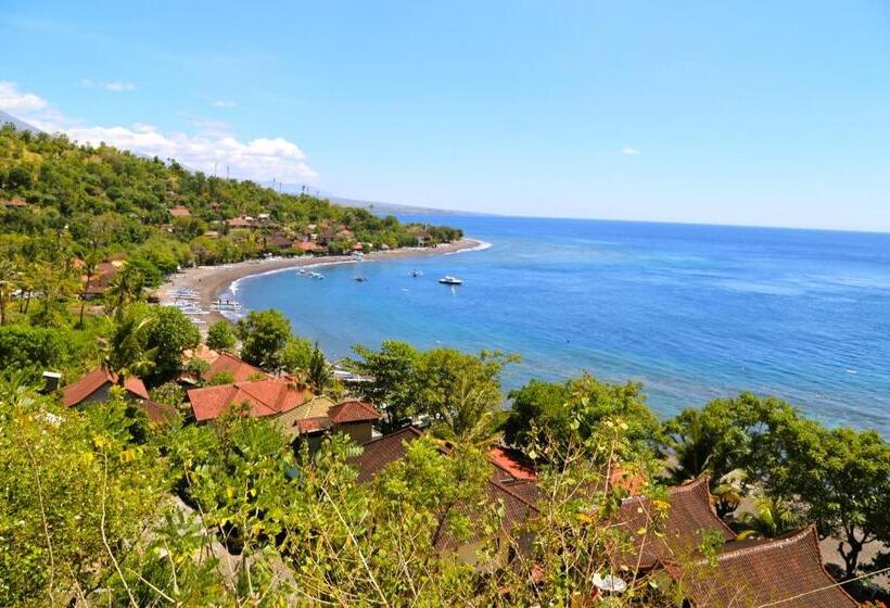 פנסיון Villa Infinite Horizon