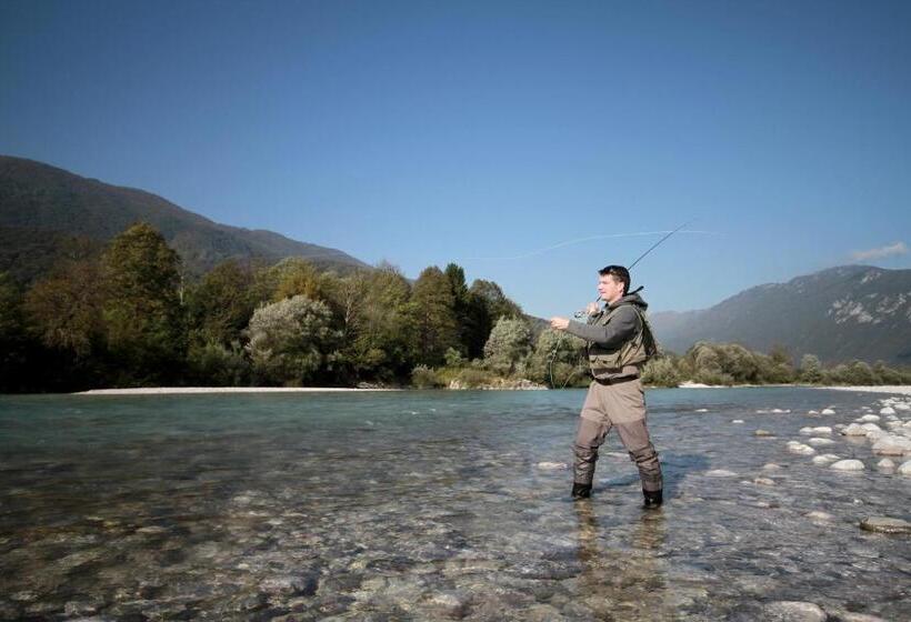 پانسیون Villa Tollazzi