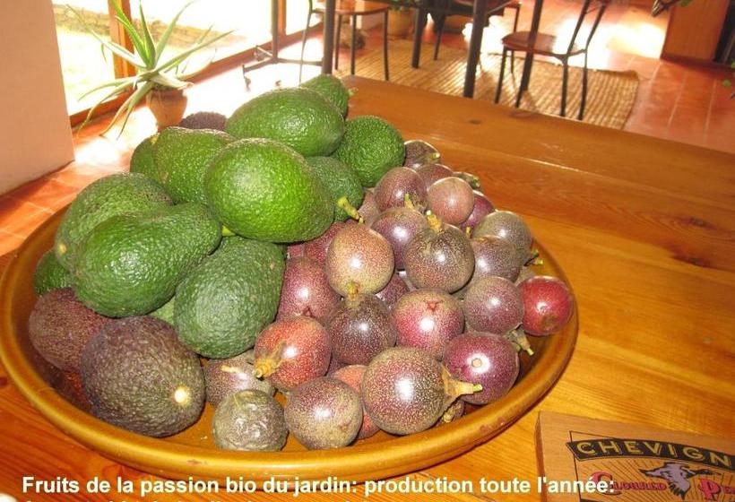 پانسیون Villa Zahra