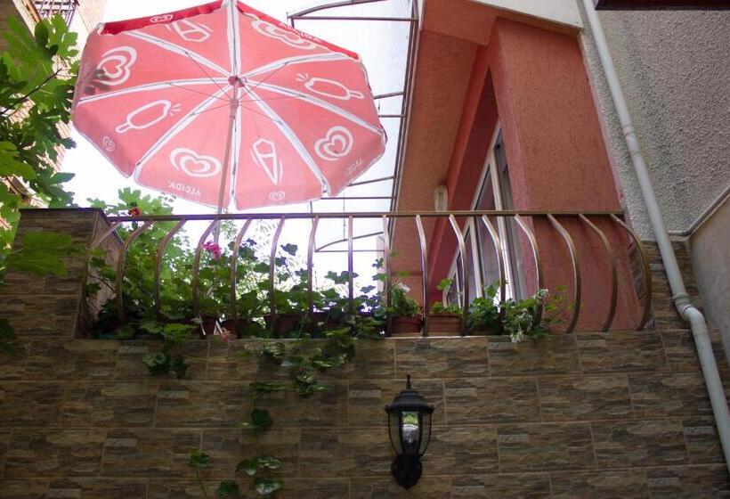 Пансион Violeta 7 Guest House