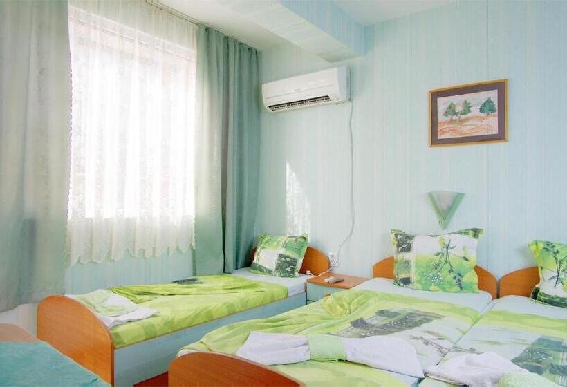 Пансион Violeta 7 Guest House