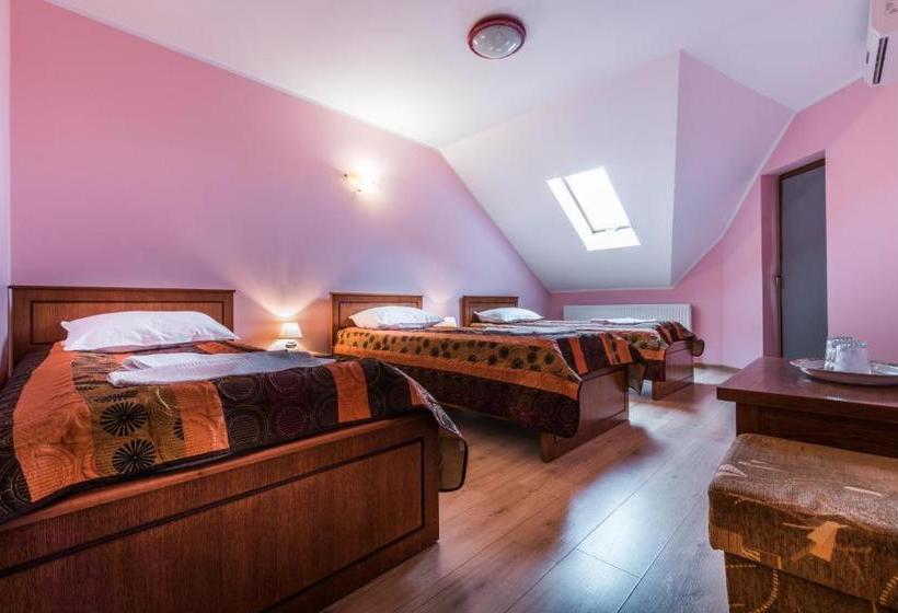 Pensiunea Christiana