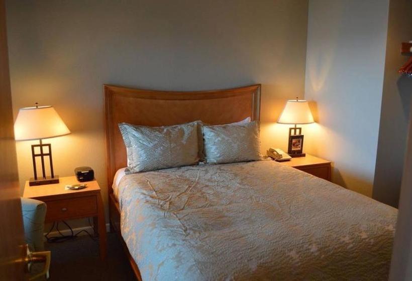 فندق صغير Channel House