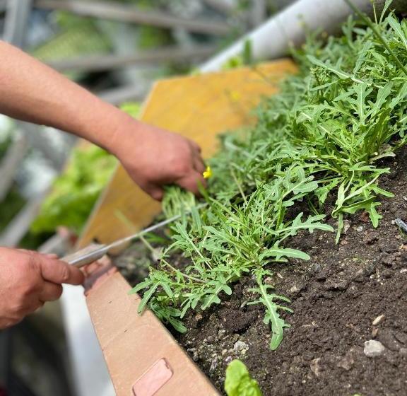 ユースホステル Gasthof Zum Mohrn