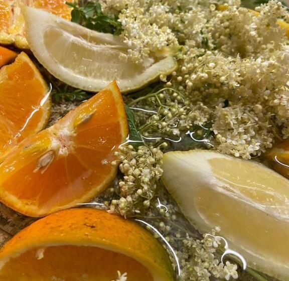 ユースホステル Gasthof Zum Mohrn