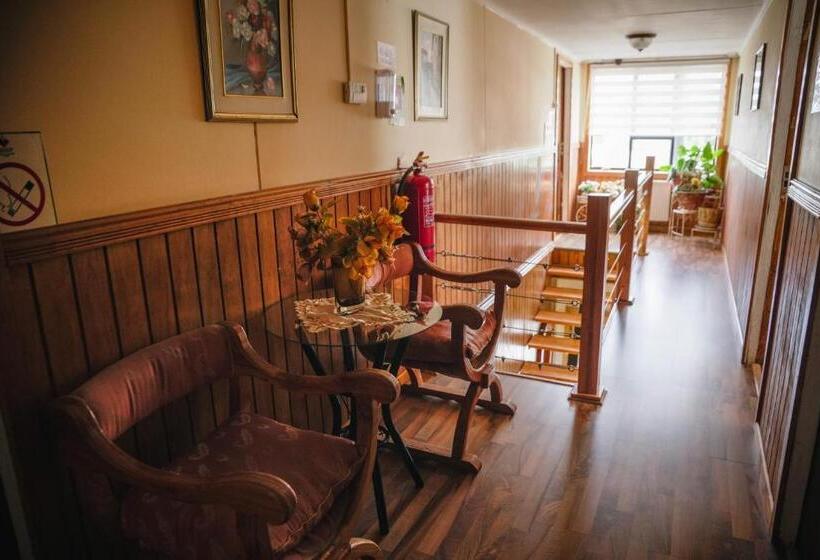 הוסטל Hostal Hielo Sur