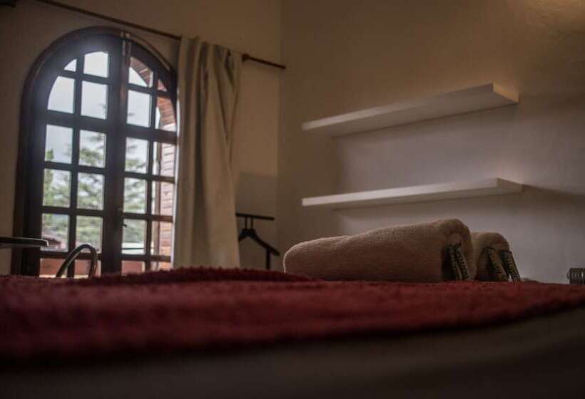 هاستل Posada Del Centro