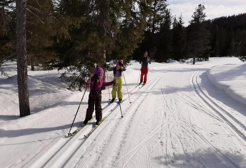 בית מלון כפרי Apartments Teglbauernhof, Hütte, Chalet, Mobilheim, Appartement, Ferienwohnung, Pension, Urlaub