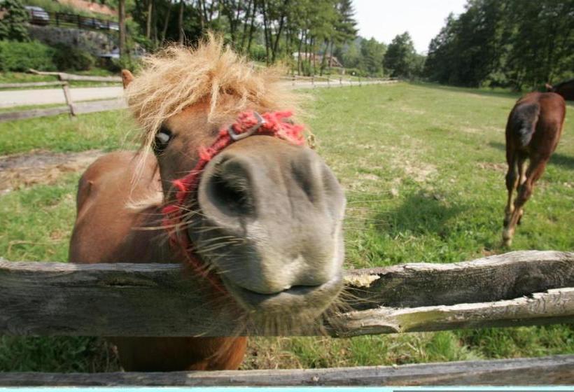 هتل Farm Stay Frank Ozmec Wine And Glamping Estate