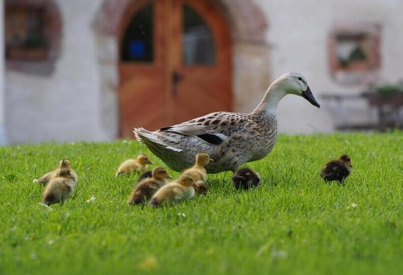 هتل Tourist Farm šenkova Domačija