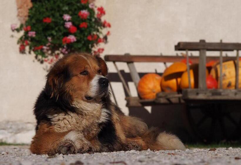 هتل Tourist Farm šenkova Domačija