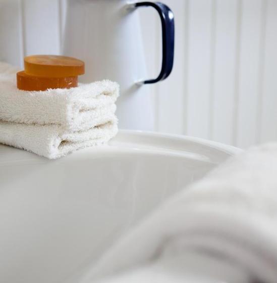 فندق Wild Olive House