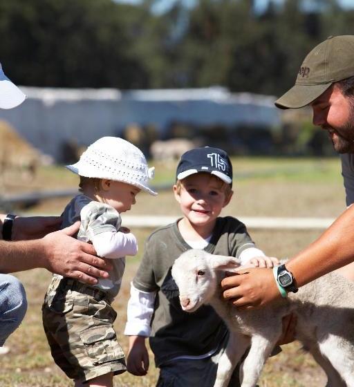 فندق Wild Olive House