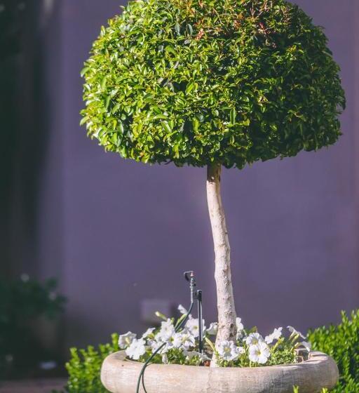 بنسيون Abiento Guesthouse