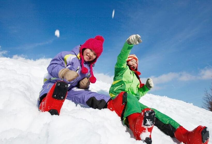 פנסיון Allumeur