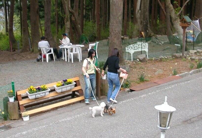 פנסיון Allumeur