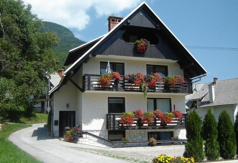 پانسیون Apartments & Rooms Stare