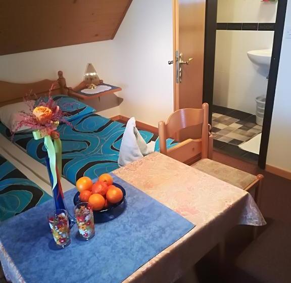 پانسیون Apartments & Rooms Stare