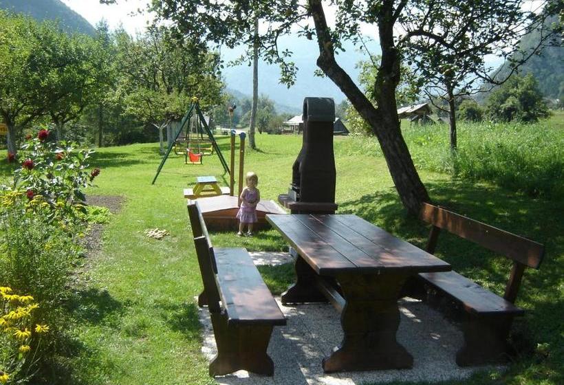 پانسیون Apartments & Rooms Stare