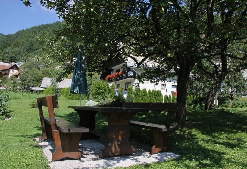 پانسیون Apartments & Rooms Stare