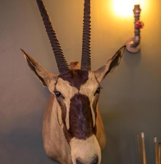 ペンション Big 5 Guest House Witbank