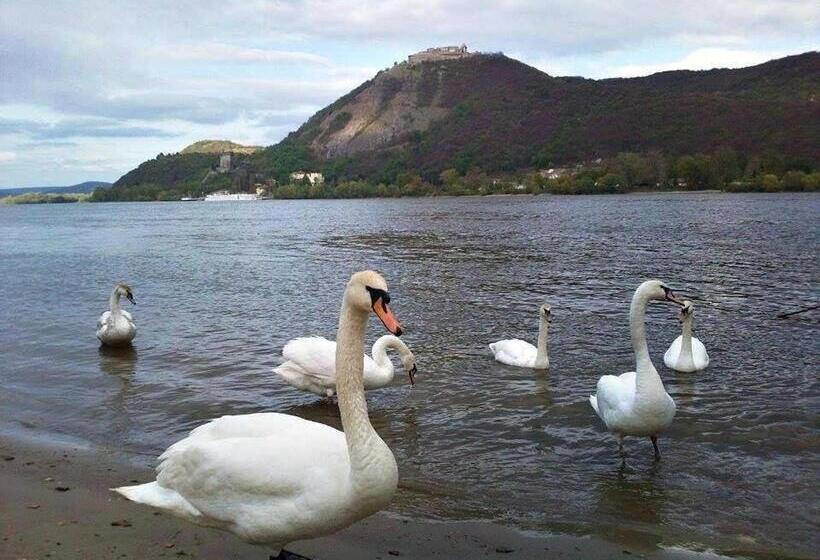 بنسيون Bonifert Vendégház