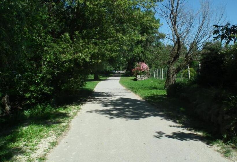 بنسيون Bonifert Vendégház