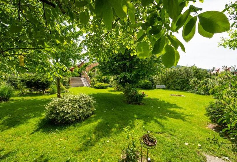 بنسيون Bonifert Vendégház